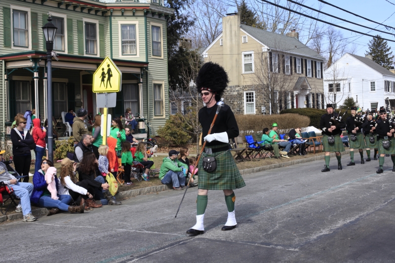 Hamilton Parade 2014