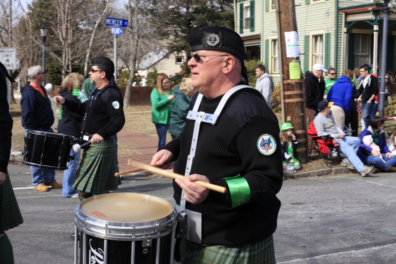 Hamilton Parade 2014