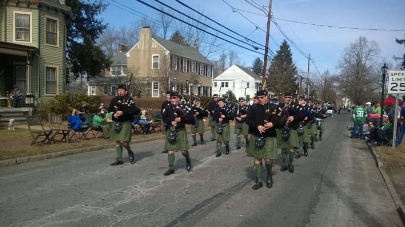 Hamilton Parade 2014